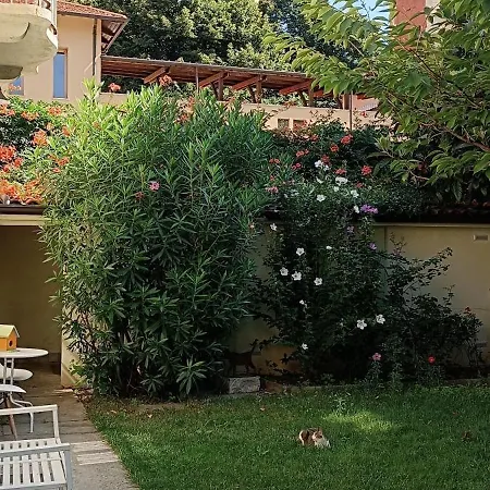 Homestay szállás La Stanza Nel In Citta